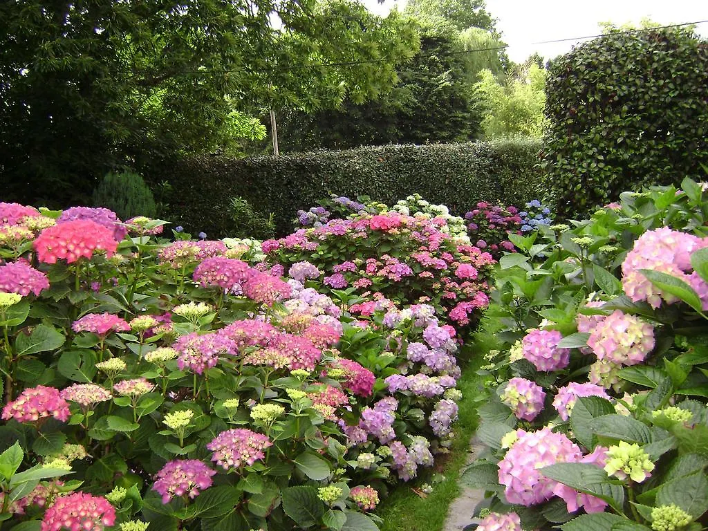 Bed & Breakfast Villa Les Hortensias Pont-Croix