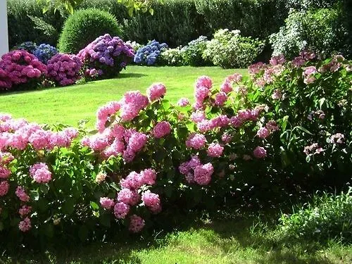 Villa Les Hortensias Pont-Croix
