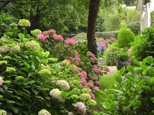 Couette-café Villa Les Hortensias Pont-Croix